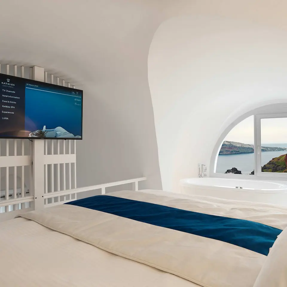 マスタースイート（プランジプール付き）-img